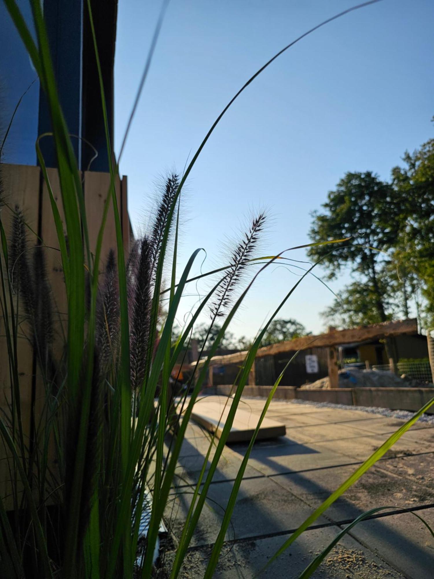 Opende-Oost "Chalet Zanna" מראה חיצוני תמונה